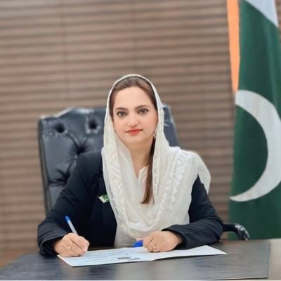 Central Information Secretary,S.Punjab Region PTI/Co-Organizer Election Cell S.Punjab/S.V.P. Punjab & Coordinator ILF/Nominated MPA, PTI