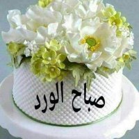 Nour Nour (@nournou47016969) Twitter profile photo