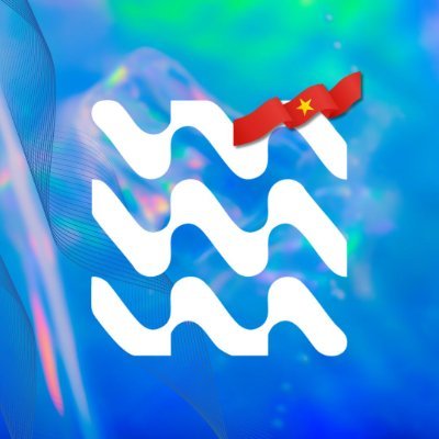 SurfVietNam's profile picture. 