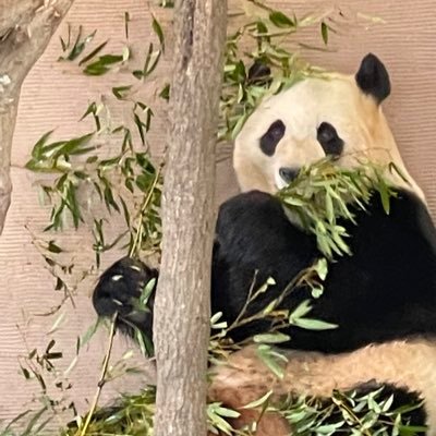 xmeYTg4nVC90756's profile picture. 雑談の垢