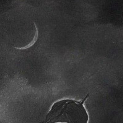 seyyahxcrypto's profile picture. A crypto explorer | $TON | TG: @seyyahxcrypto