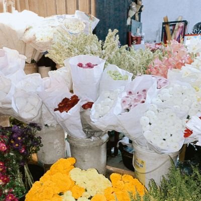 chevydoory's profile picture. 