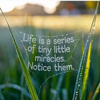 leenda76's profile picture. Just Here To Learn, Laugh & Cry🌺 Pls Don’t Follow🙏🏽