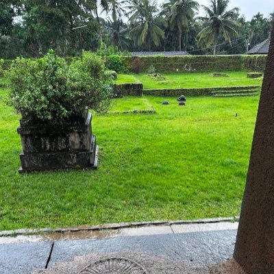 Van_9900's profile picture. 