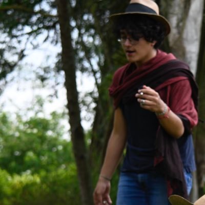 Hago películas y las que no hago las pirateo - hablador de mierda del altiplano - le hablo a mis matas - Historiador con opiniones personales y casi informadas