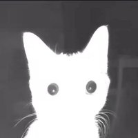 سام (@cioudyskai) Twitter profile photo