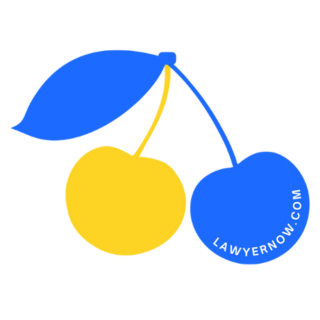Connecting people to trusted lawyers in seconds within the LawyerNow app. 📲 Legal help made fast, easy, and accessible for everyone. ⚖️ #LawyerNow