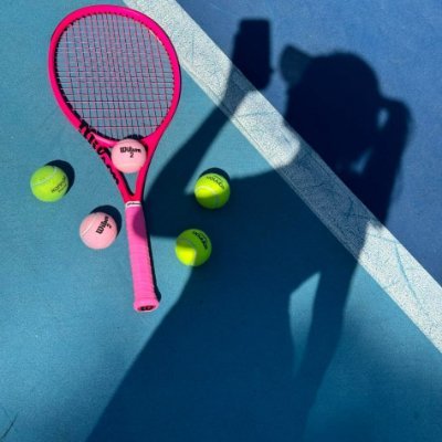 hinatadays9's profile picture. 朝の光で目を覚まし、静かな散歩から一日を始める。
自然と暮らしが、私の心を整えてくれる☀️🍃