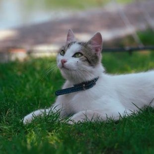 Smiley_Sammi_'s profile picture. ディスコとかにいるので仲良くしてほしいです～