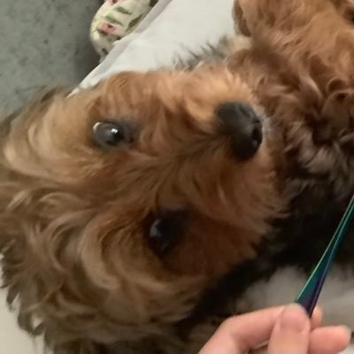 FormerToby's profile picture. 