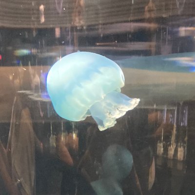 Travel__withus's profile picture. 2025年度全日本鼻呼吸選手権2位