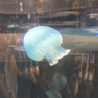 たくと (@travel__withus) 's Twitter Profile Photo たくと (@travel__withus) 's Twitter Profile Photo
