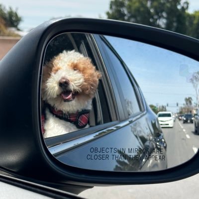 714ChaO's profile picture. search and acquire knowledge https://t.co/oxnJc0QiyC.