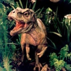 Junior1030833's profile picture. T rex and I love my mum and dad