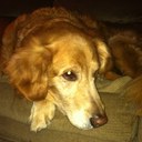 amanda smiley - @amandasmiley - Twitter