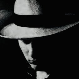 notstephan Profile