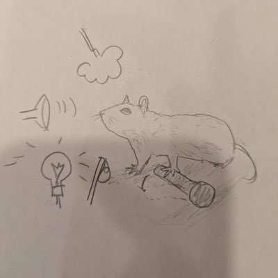 nyanmoienai's profile picture. WasedaASE biomed🇯🇵(Ph.D student/ JST Spring fellow)👀NeuroScience, Neural Circuit, imaging,#BSTP, #ascone2023