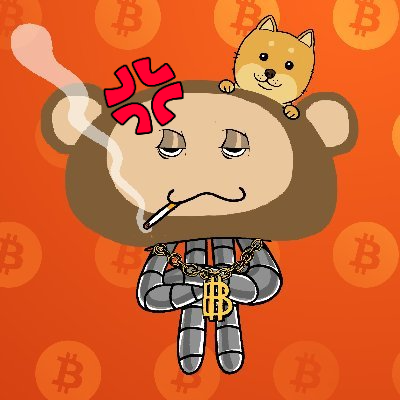 0xBrianScott's profile picture. #CrunchieOG  @CNPYNetwork