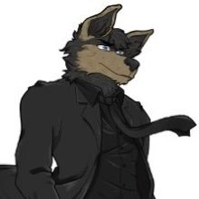 I’m Beaux a 28yr old single straight male furry Black alpha wolf/German Shepherd hybrid loves video games,music,animals,sports,and all things furry related