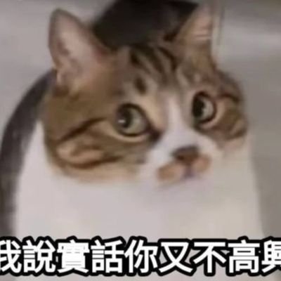 yjil396277's profile picture. 