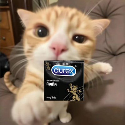 Loma1145339's profile picture. 私はセックスとヌード写真が大好きです🐰🥕 #นักรีวิวสินค้า #นักดื่มกลางคืน #เที่ยวกับแฟน🩷🍒🪄🇹🇭🇰🇷