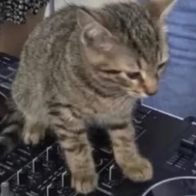 lych cat emoji Profile
