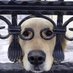 Bin (@thechariiot) Twitter profile photo Bin (@thechariiot) Twitter profile photo