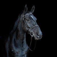 Jason R Vessey (@jasonr32169) 's Twitter Profile