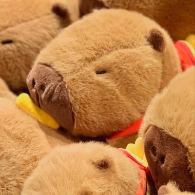 qiaonasixiong's profile picture. 卡皮巴拉拉～