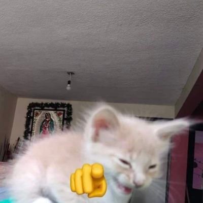 luuzifer_'s profile picture. 