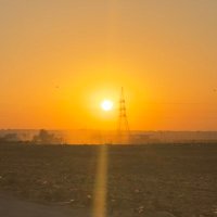 shahed (@shahed7sh) Twitter profile photo