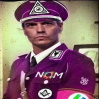 historiadores/politólogos de bar (@andrewtatemason) 's Twitter Profile