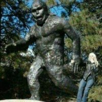 Gypsywomann (@gypsywomann1) 's Twitter Profile