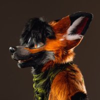 Cipher (@cipherfawks) 's Twitter Profile