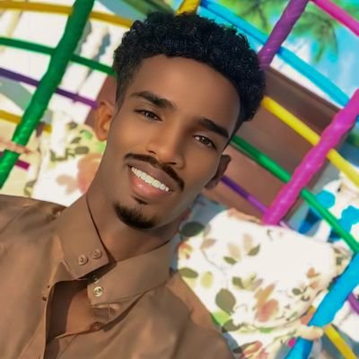 ZecoWll33823's profile picture. Article written  ,