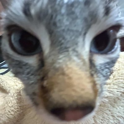 offtheram's profile picture. 