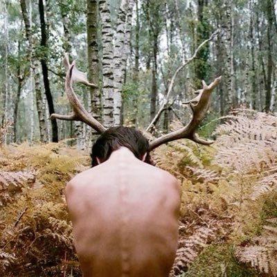 occultmal's profile picture. october will cure me