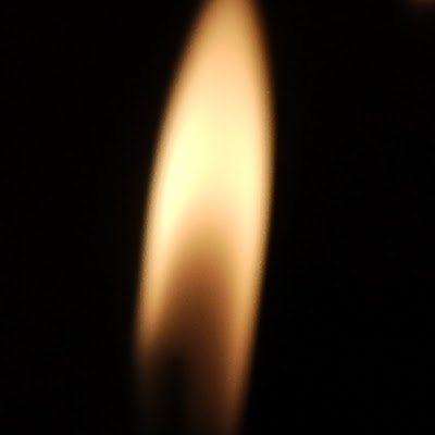 Kelp_L0rd's profile picture. 