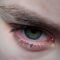 Daedalus π (@avastvoid_) 's Twitter Profile
