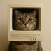 catputer (@catputer_io) Twitter profile photo catputer (@catputer_io) Twitter profile photo