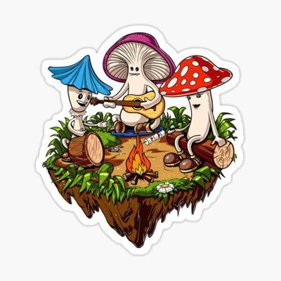 WE'ER HERE FOR FUN AND GOOD REASONING AND TO BROADCAST OUR AMAZING PSILOCYBIN PRODUCTS AT GREAT PRICES 🧠🍄👇👇