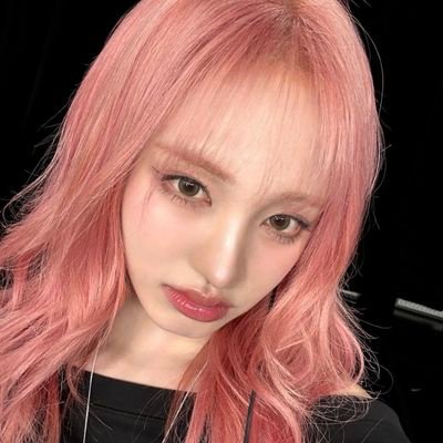 aaanalele's profile picture. iz*one | loona | gfriend | ive | rescene
—— acompanho todos os derivados dos grupos citados acima, atenção especial ao ive