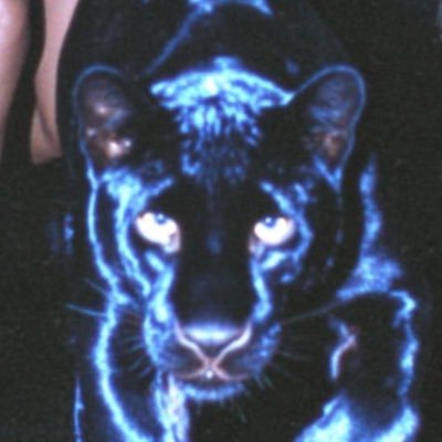 ZachRiverDaniel's profile picture. 