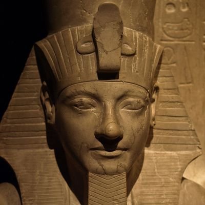licensed tour guide , phone number :
+201095640374
email : Mohamedofluxor@yahoo.com
animal lover