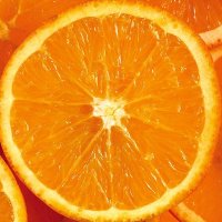 OrangePlus (@morgutb) 's Twitter Profile
