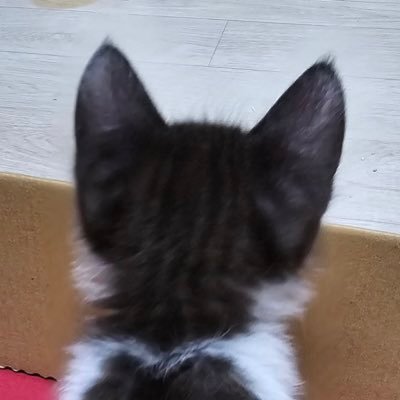 강찬했어요 강찬해요 강찬할게요