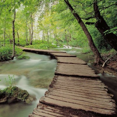 HodLiberte's profile picture. 