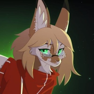 she/her
lovesss animee!
you would see furry stuff here too