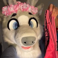 DirtyDelta~ (@dirtydoedelta) 's Twitter Profile