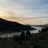 haylaz. (@kasal86467) Twitter profile photo